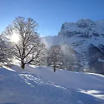 Appartement Fantastic View, Cosy Flat In Bergfink Grindelwald