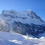 Appartement Fantastic View, Cosy Flat In Bergfink Grindelwald