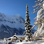 Fantastic View, Cosy Flat In Bergfink Grindelwald