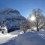 Fantastic View, Cosy Flat In Chalet Bergfink * Grindelwald