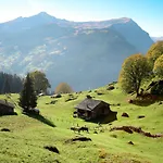 Fantastic View, Cosy Flat In Bergfink Appartement