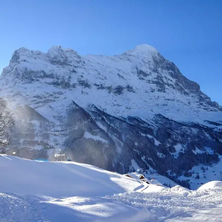 Appartement Fantastic View, Cosy Flat In Bergfink Grindelwald
