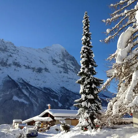 Fantastic View, Cosy Flat In Bergfink Grindelwald