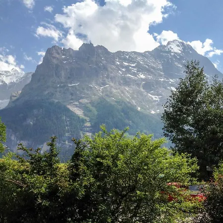 Fantastic View, Cosy Flat In Bergfink * Grindelwald