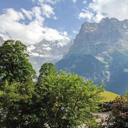 Fantastic View, Cosy Flat In Bergfink Apartamento Grindelwald