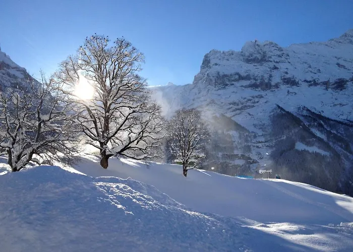 Apartment Fantastic View, Cosy Flat In Chalet Bergfink Grindelwald