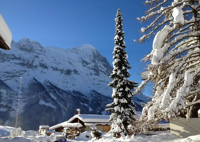 Fantastic View, Cosy Flat In Chalet Bergfink Grindelwald