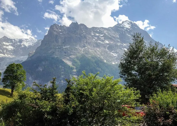 Fantastic View, Cosy Flat In Chalet Bergfink * Grindelwald