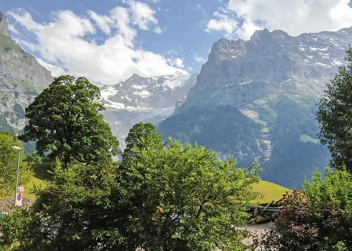 Fantastic View, Cosy Flat In Bergfink Lejlighed Grindelwald