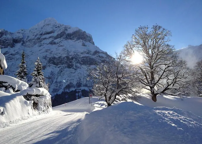 Fantastic View, Cosy Flat In Chalet Bergfink * Grindelwald