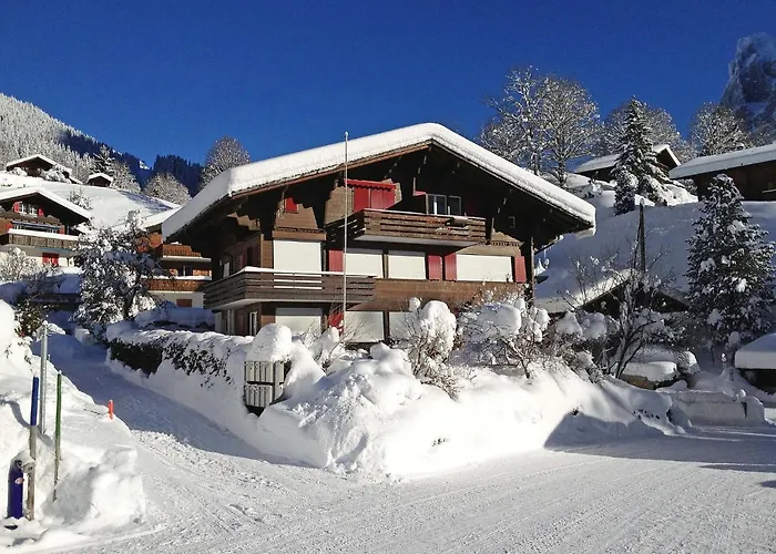 Fantastic View, Cosy Flat In Chalet Bergfink Apartment *