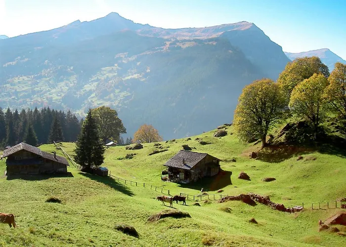 Fantastic View, Cosy Flat In Chalet Bergfink Apartment