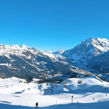 Fantastic View, Cosy Flat In Bergfink * Grindelwald